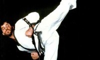 17 KJN Side Kick 17 KJN Side Kick